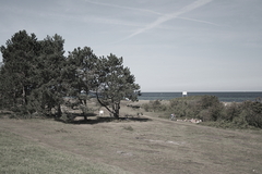 Killikus&reg; Fotographie